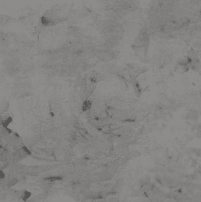 Стеновая панель WPC (Stone grain) BAMSTEK51002